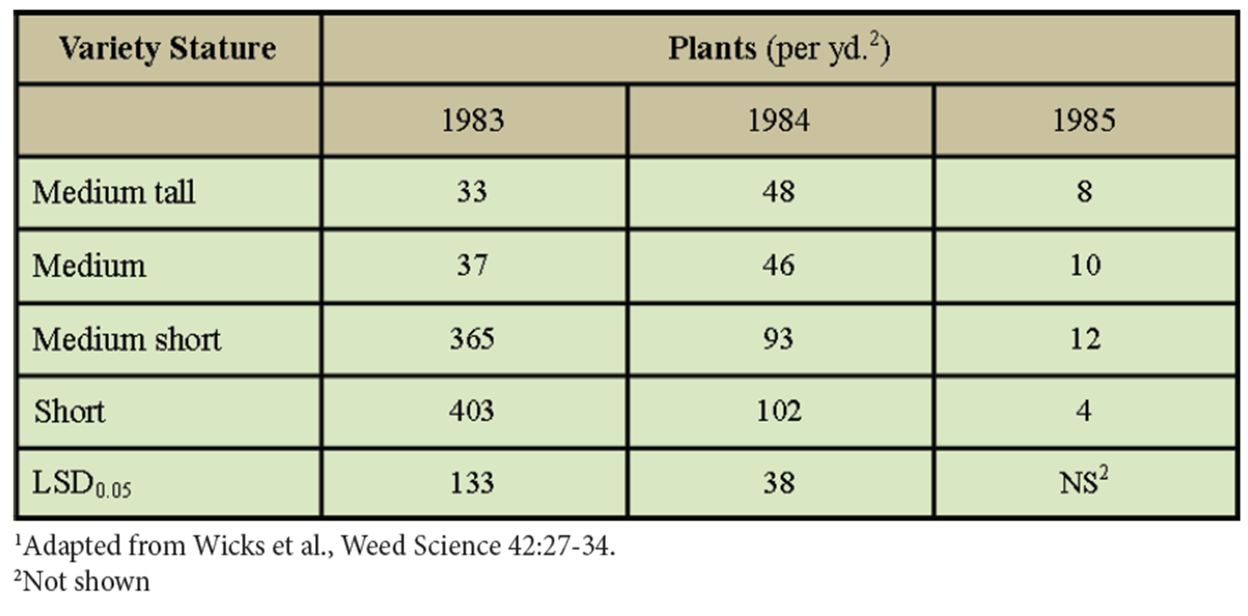 Effects of winter wheat varieties on annual weed density